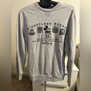 Disney Parks Authentic Men's Sweater - Light Gray - Medium
